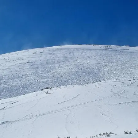 Alex Chalet