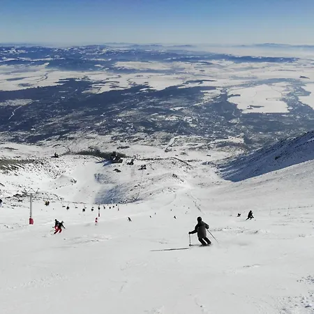 Alex Chalet *