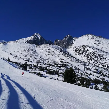 Alex Chalet *