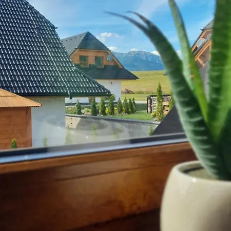 Alex Chalet *