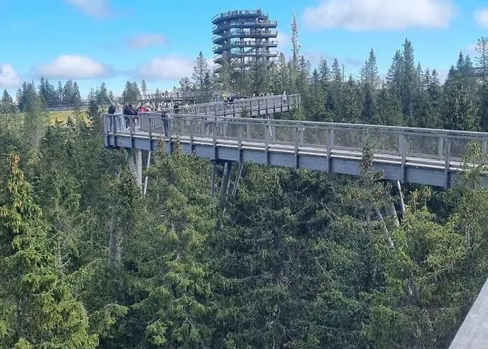 Alex * Stará Lesná