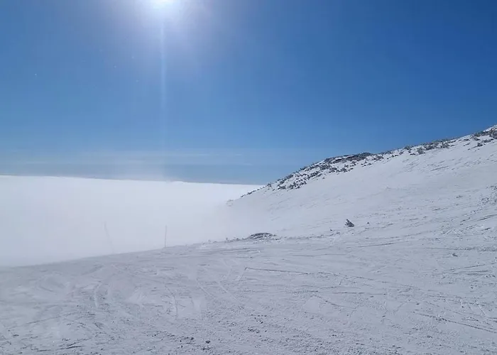 Alex * Stará Lesná