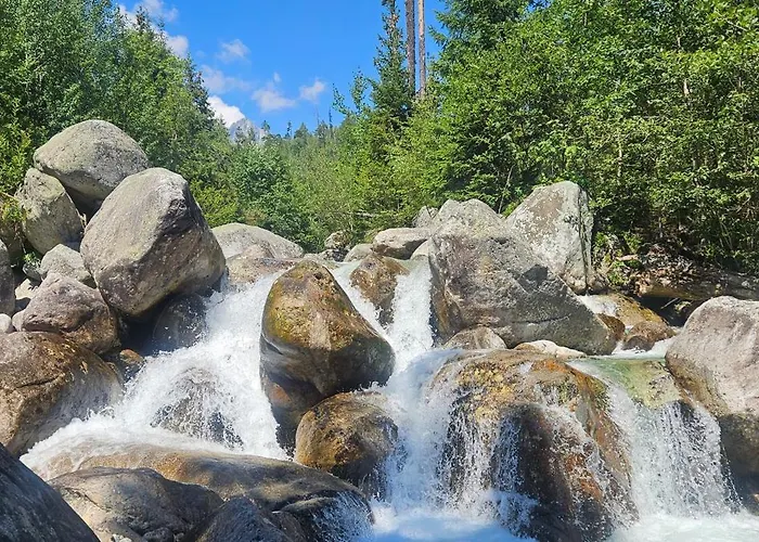 Alex * Stará Lesná