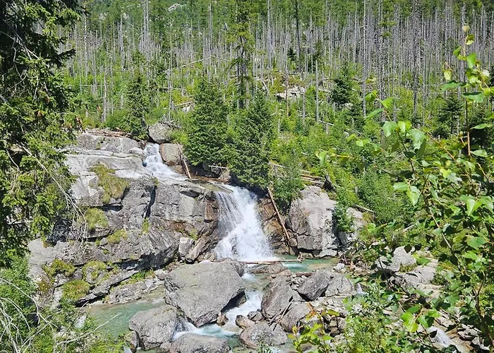 Alex * Stará Lesná