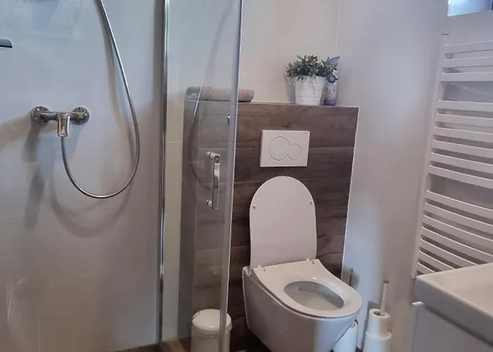 샬레 Alex Stará Lesná